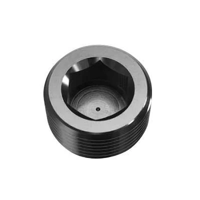 Aluminum Allen Socket Pipe Plug